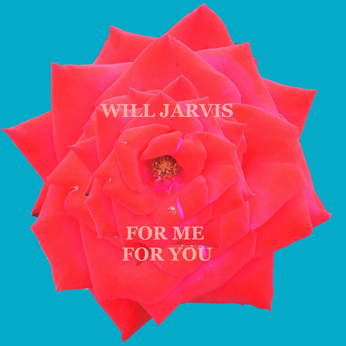 Will Jarvis - For Me For You